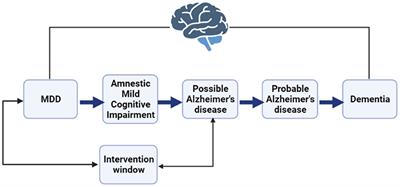 Combining artificial neural networks and a marginal structural model to predict the progression from depression to Alzheimer's disease